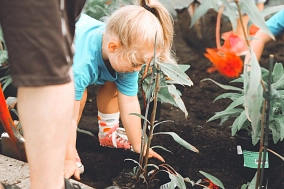 Aktiv werden für den Klimaschutz!&nbsp;&copy;&nbsp;Anna Earl on Unsplash.com