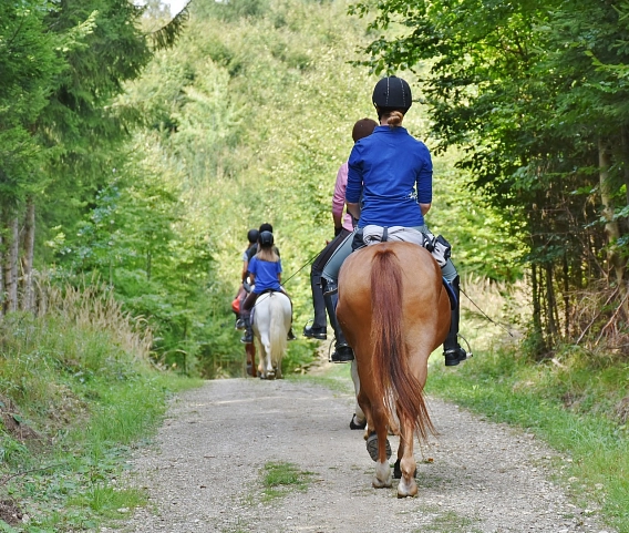 Ausritt Reiten, Pferd © RitaE by Pixabay