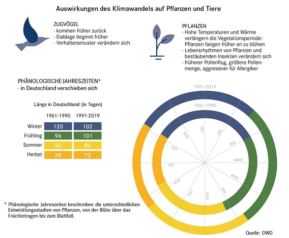 Auswirkungen des Klimawandels auf Pflanzen und Tiere&nbsp;&copy;&nbsp;Deutscher Wetterdienst
