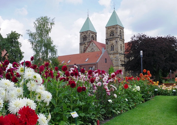 Dahliengarten mit Blick auf die St. Brigida Kirche Dahliengarten mit Blick auf die St. Brigida Kirche © Josefa Hemker