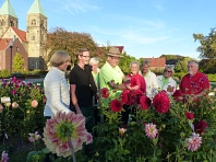 Beschwingt durchs Dahlienmeer&nbsp;&copy;&nbsp;Angelika Hoffmann