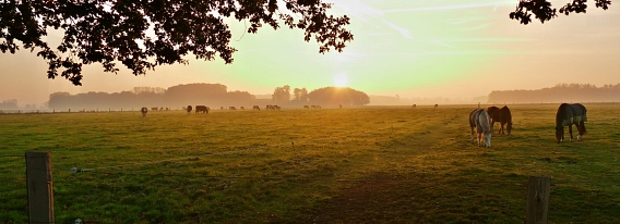 ländlicher Herbstmorgen&nbsp;&copy;&nbsp;Jürgen Göckemeyer