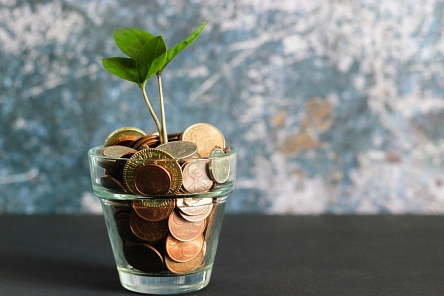 Nachhaltige Finanzen Nachhaltige Finanzen © Visual Stories; Micheile, Unsplash