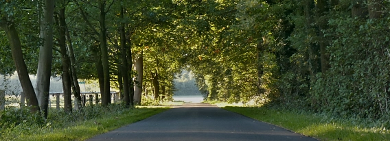 Wirtschaftsweg Beikelort&nbsp;&copy;&nbsp;Jürgen Göckemeyer